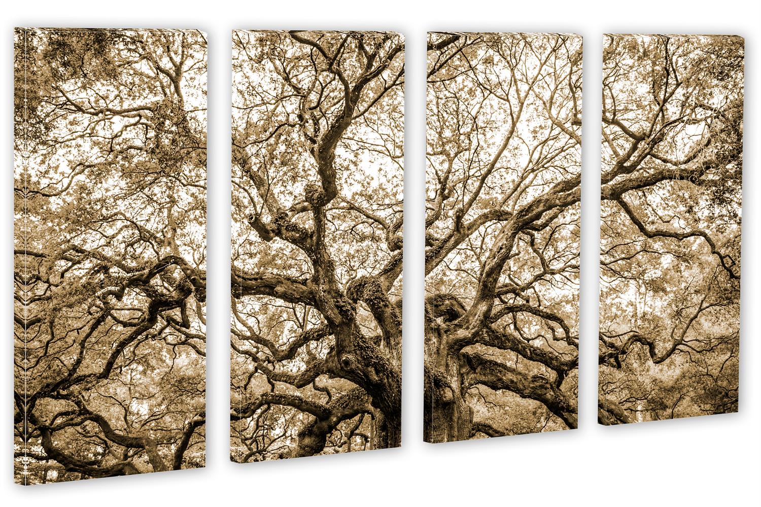 Brown Angel Oak Tree Wall Art Canvas Print. 4 Panel Split. home decor