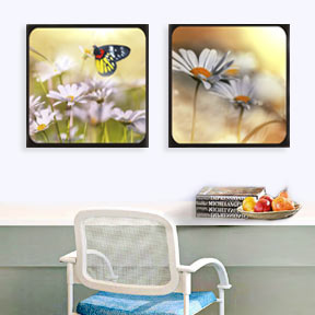 Order Instagram Canvas